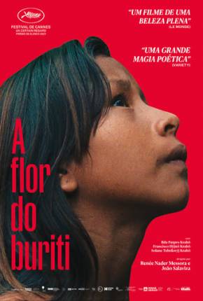 Filme A Flor do Buriti 2024 Torrent